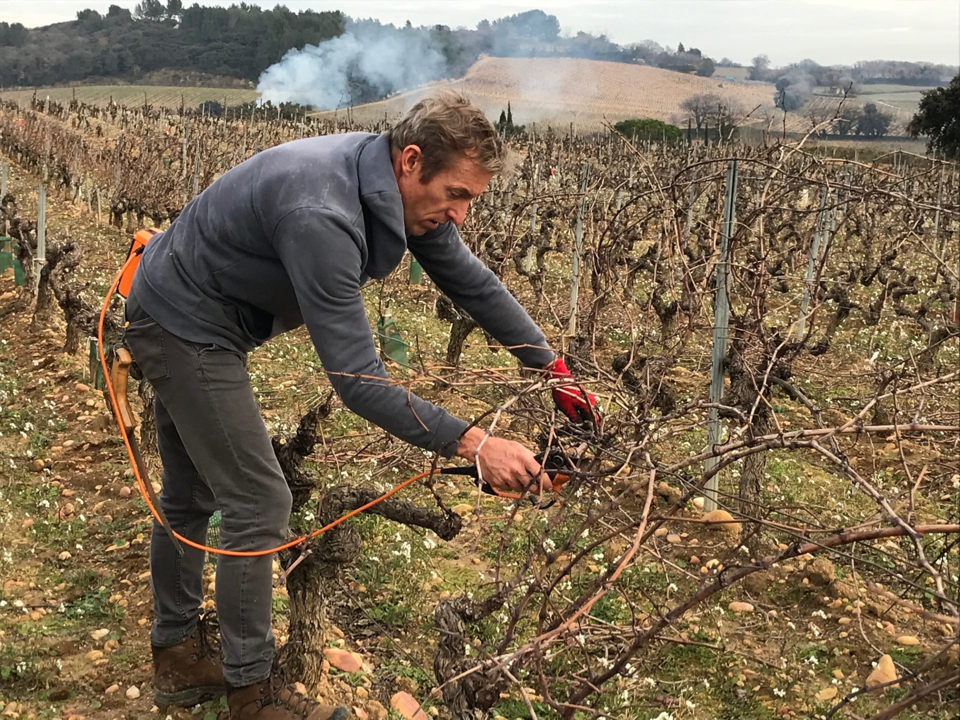 Lire la suite à propos de l’article En ce moment dans les vignes…